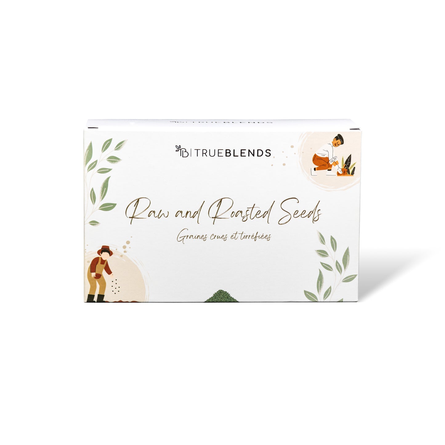 Raw and Roasted Seeds - Assorted (Pack of 12)